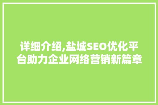 详细介绍,盐城SEO优化平台助力企业网络营销新篇章