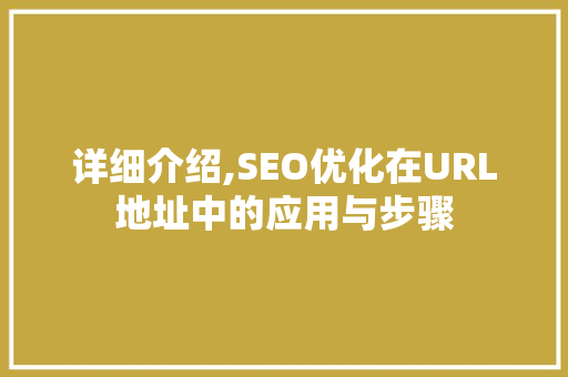详细介绍,SEO优化在URL地址中的应用与步骤