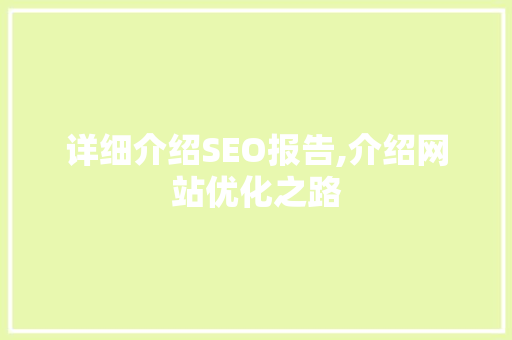 详细介绍SEO报告,介绍网站优化之路