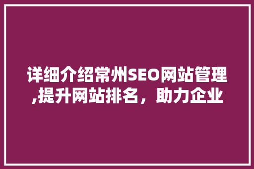 详细介绍常州SEO网站管理,提升网站排名，助力企业腾飞