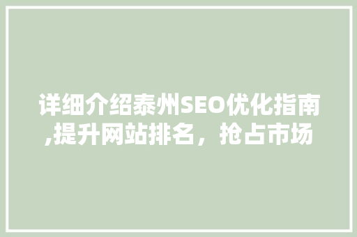 详细介绍泰州SEO优化指南,提升网站排名，抢占市场先机