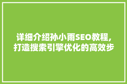 详细介绍孙小雨SEO教程,打造搜索引擎优化的高效步骤