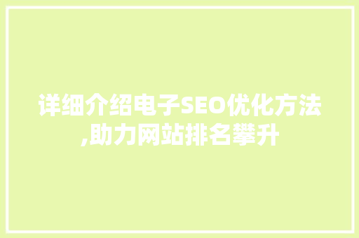 详细介绍电子SEO优化方法,助力网站排名攀升