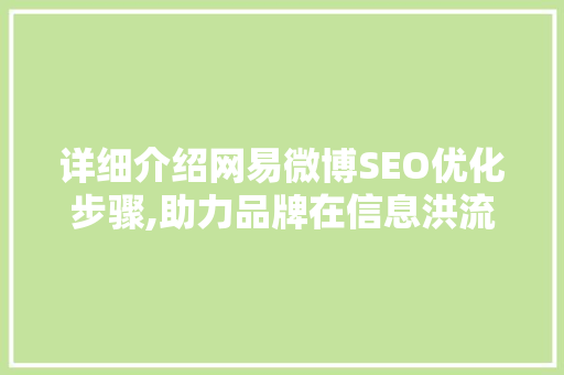 详细介绍网易微博SEO优化步骤,助力品牌在信息洪流中脱颖而出