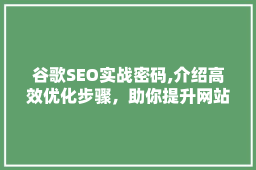 谷歌SEO实战密码,介绍高效优化步骤，助你提升网站排名