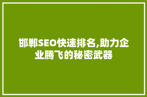 邯郸SEO快速排名,助力企业腾飞的秘密武器