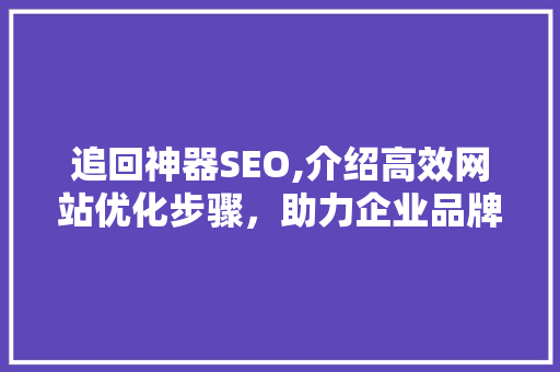 追回神器SEO,介绍高效网站优化步骤，助力企业品牌腾飞