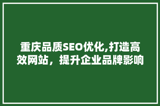 重庆品质SEO优化,打造高效网站，提升企业品牌影响力