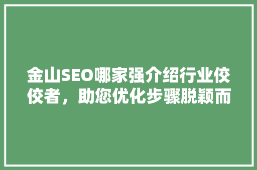 金山SEO哪家强介绍行业佼佼者，助您优化步骤脱颖而出