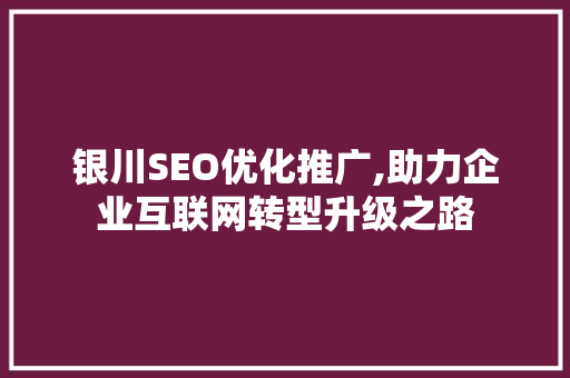 银川SEO优化推广,助力企业互联网转型升级之路