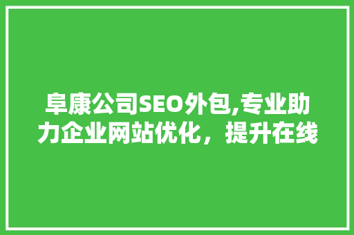 阜康公司SEO外包,专业助力企业网站优化，提升在线竞争力