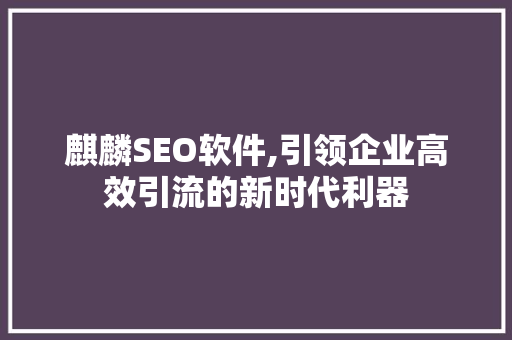 麒麟SEO软件,引领企业高效引流的新时代利器