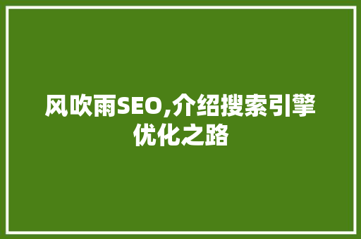 风吹雨SEO,介绍搜索引擎优化之路
