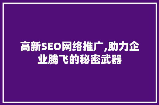 高新SEO网络推广,助力企业腾飞的秘密武器