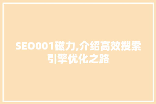 SEO001磁力,介绍高效搜索引擎优化之路