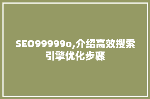 SEO99999o,介绍高效搜索引擎优化步骤