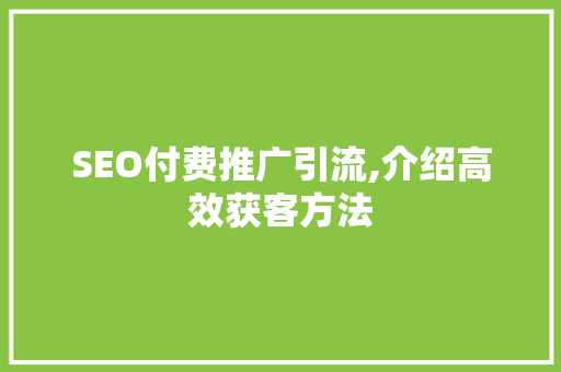 SEO付费推广引流,介绍高效获客方法