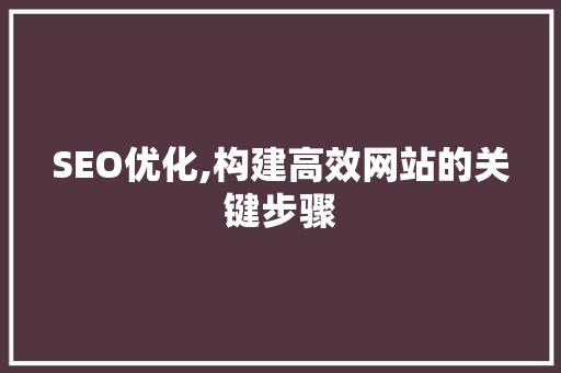 SEO优化,构建高效网站的关键步骤