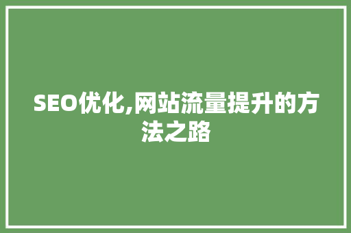 SEO优化,网站流量提升的方法之路