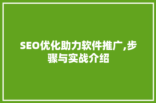 SEO优化助力软件推广,步骤与实战介绍