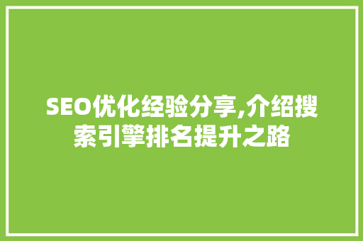 SEO优化经验分享,介绍搜索引擎排名提升之路