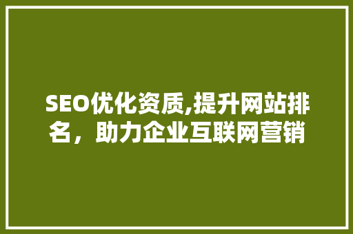 SEO优化资质,提升网站排名，助力企业互联网营销
