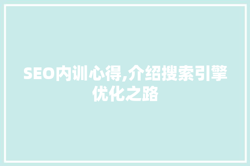 SEO内训心得,介绍搜索引擎优化之路