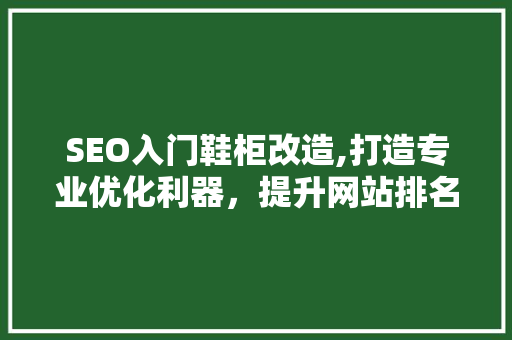SEO入门鞋柜改造,打造专业优化利器，提升网站排名新高度