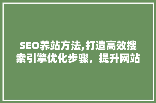 SEO养站方法,打造高效搜索引擎优化步骤，提升网站排名与流量