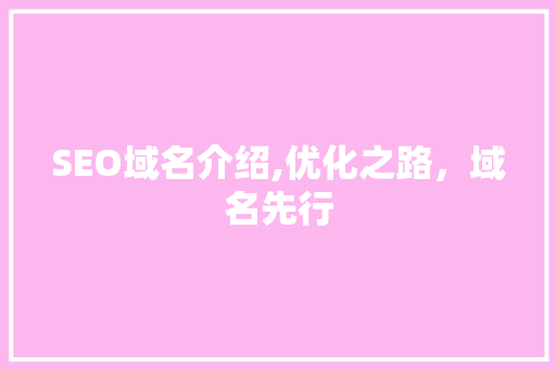 SEO域名介绍,优化之路，域名先行