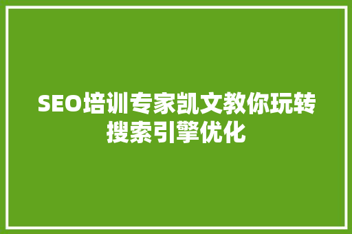 SEO培训专家凯文教你玩转搜索引擎优化