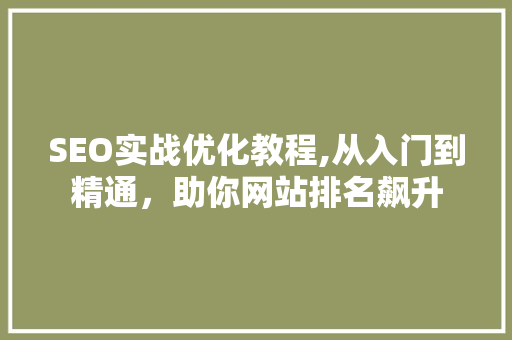 SEO实战优化教程,从入门到精通，助你网站排名飙升
