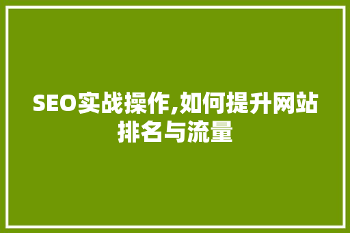 SEO实战操作,如何提升网站排名与流量