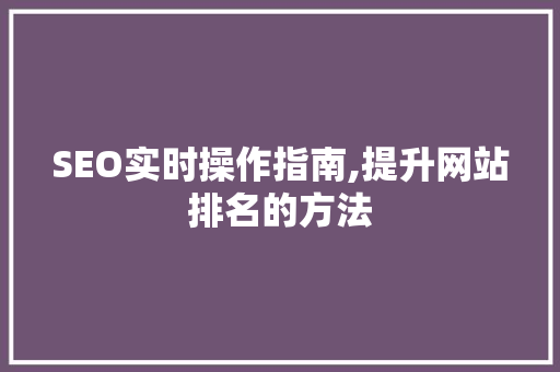 SEO实时操作指南,提升网站排名的方法