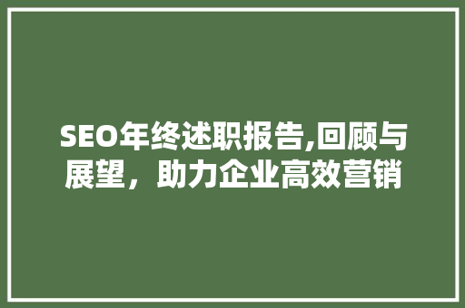 SEO年终述职报告,回顾与展望，助力企业高效营销