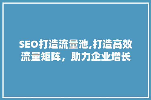 SEO打造流量池,打造高效流量矩阵，助力企业增长
