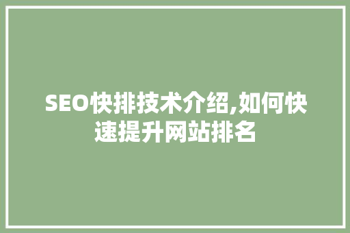 SEO快排技术介绍,如何快速提升网站排名
