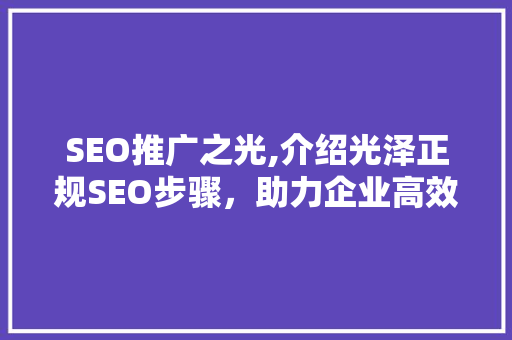 SEO推广之光,介绍光泽正规SEO步骤，助力企业高效增长