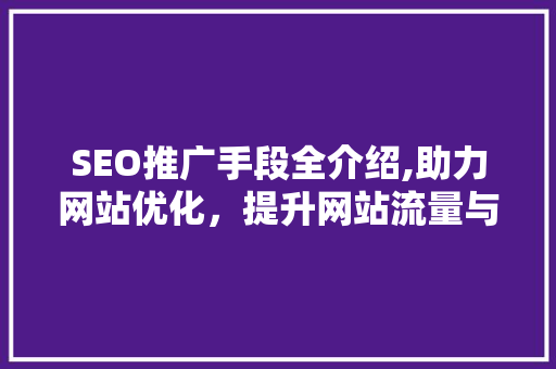 SEO推广手段全介绍,助力网站优化，提升网站流量与转化率