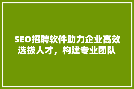 SEO招聘软件助力企业高效选拔人才，构建专业团队