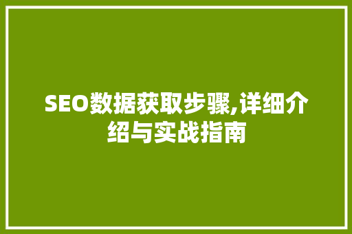 SEO数据获取步骤,详细介绍与实战指南