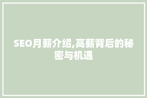 SEO月薪介绍,高薪背后的秘密与机遇