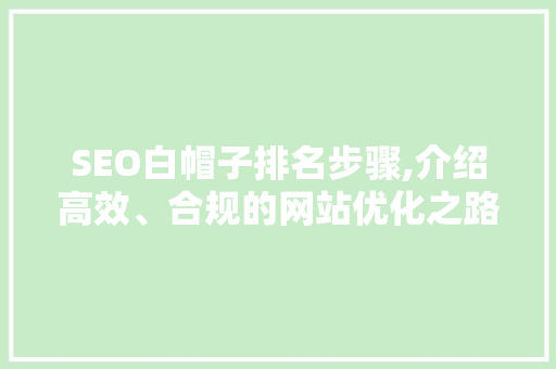 SEO白帽子排名步骤,介绍高效、合规的网站优化之路