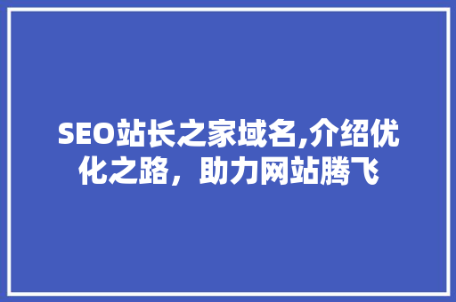 SEO站长之家域名,介绍优化之路，助力网站腾飞