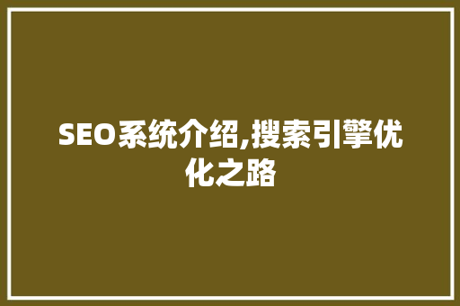 SEO系统介绍,搜索引擎优化之路