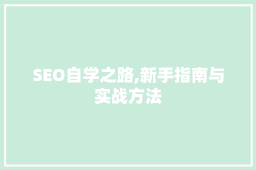 SEO自学之路,新手指南与实战方法