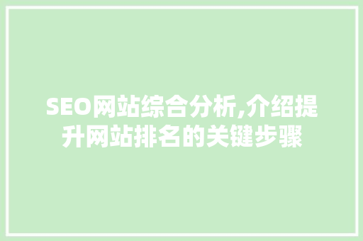 SEO网站综合分析,介绍提升网站排名的关键步骤