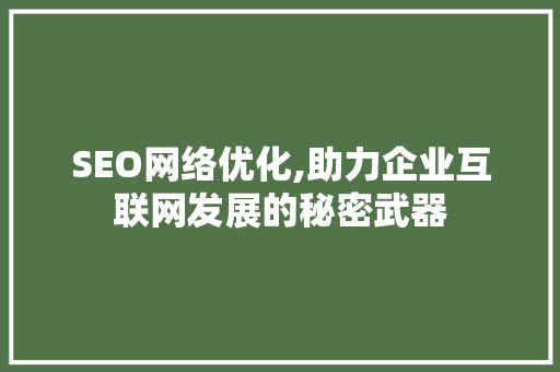 SEO网络优化,助力企业互联网发展的秘密武器