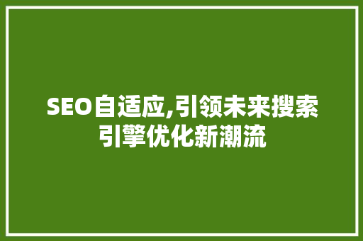 SEO自适应,引领未来搜索引擎优化新潮流