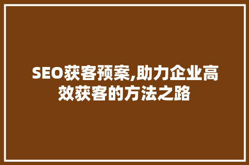 SEO获客预案,助力企业高效获客的方法之路